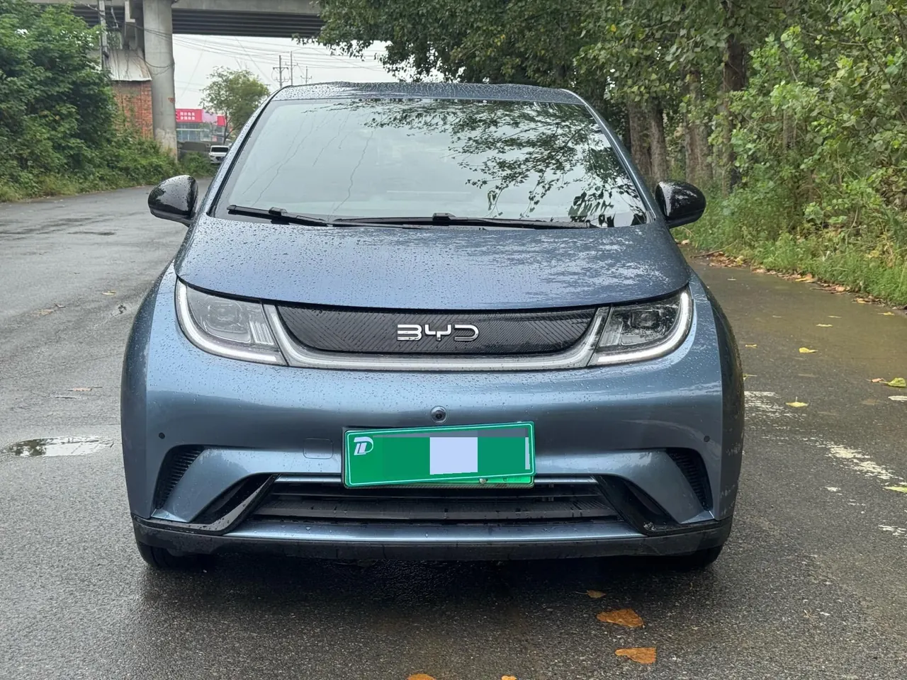 BYD 2025 Dolphin 420km Vital Edition Automatic Gear 3