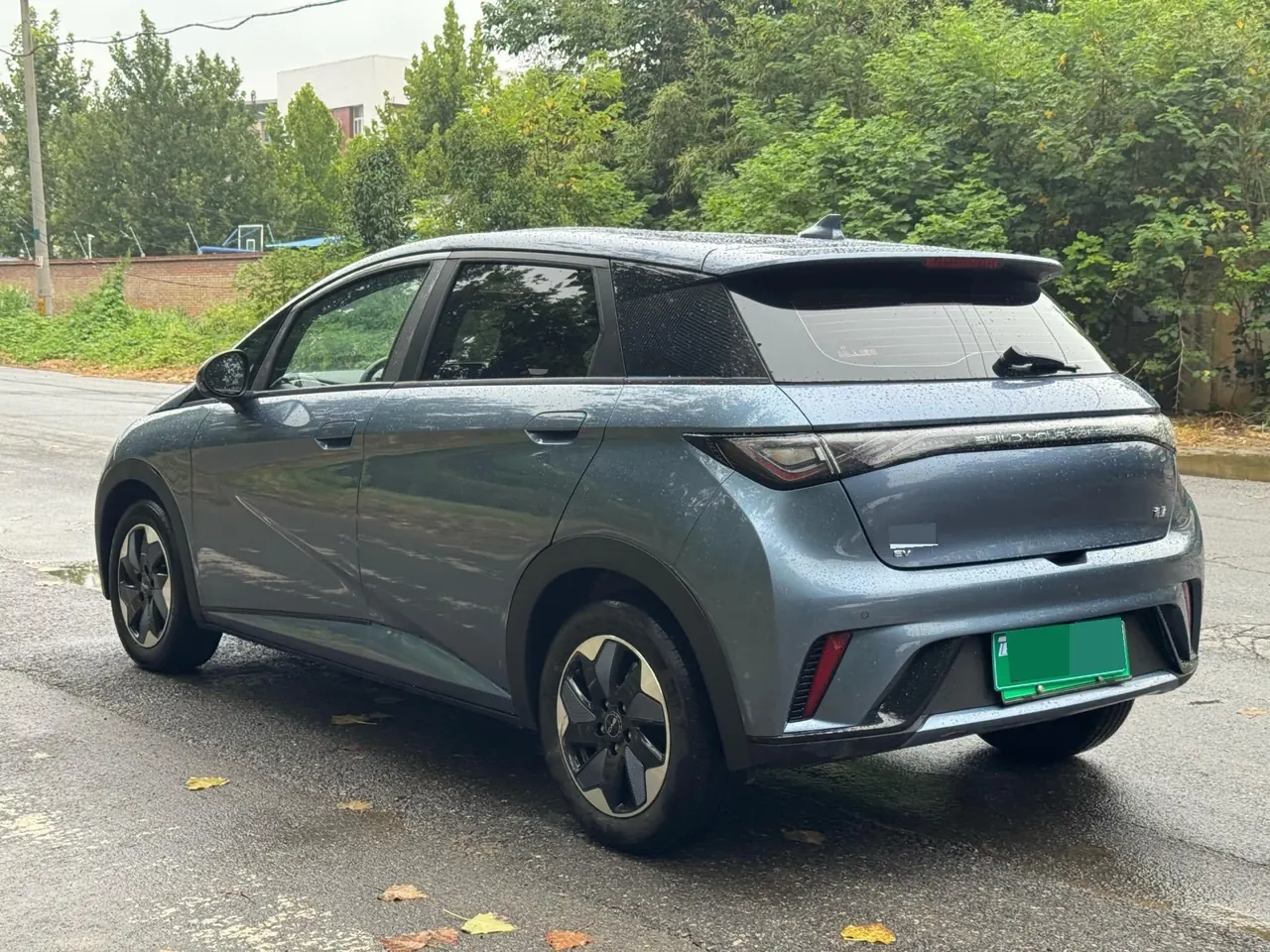 BYD 2025 Dolphin 420km Vital Edition Automatic Gear 7