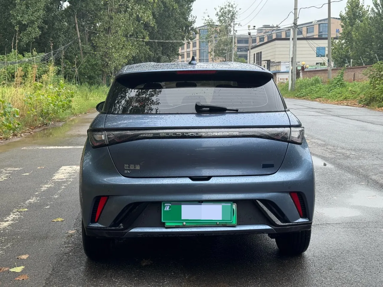 BYD 2025 Dolphin 420km Vital Edition Automatic Gear 8