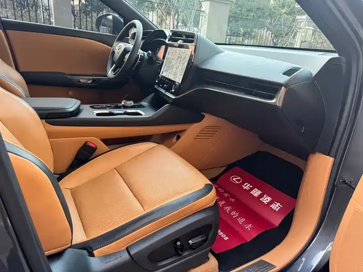 Lexus RZ 2023 450e 4WD Vertical Edition 6