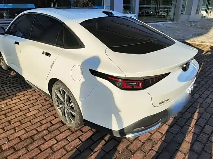 Yida 2023 Blue Whale NE 1.5T GDI DCT Pilot 5