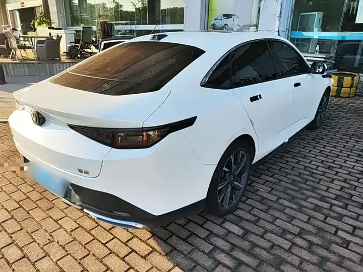 Yida 2023 Blue Whale NE 1.5T GDI DCT Pilot 7