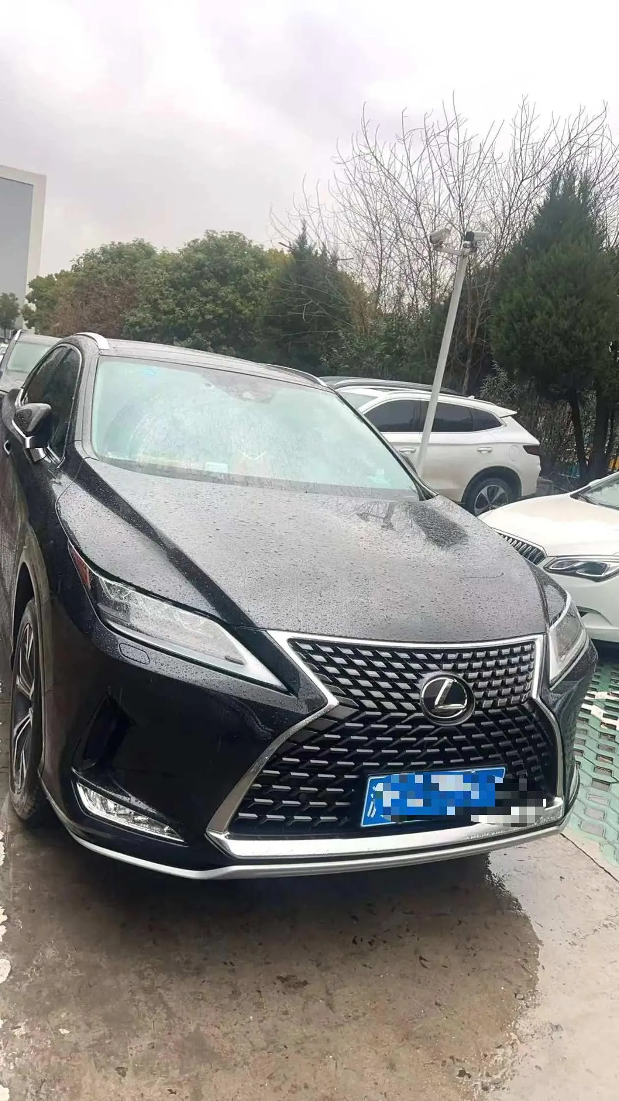 Lexus RX (Imported) 2020 RX300 2.0T Four-wheel Drive Elegant Edition (Modified) Automatic Gear 2