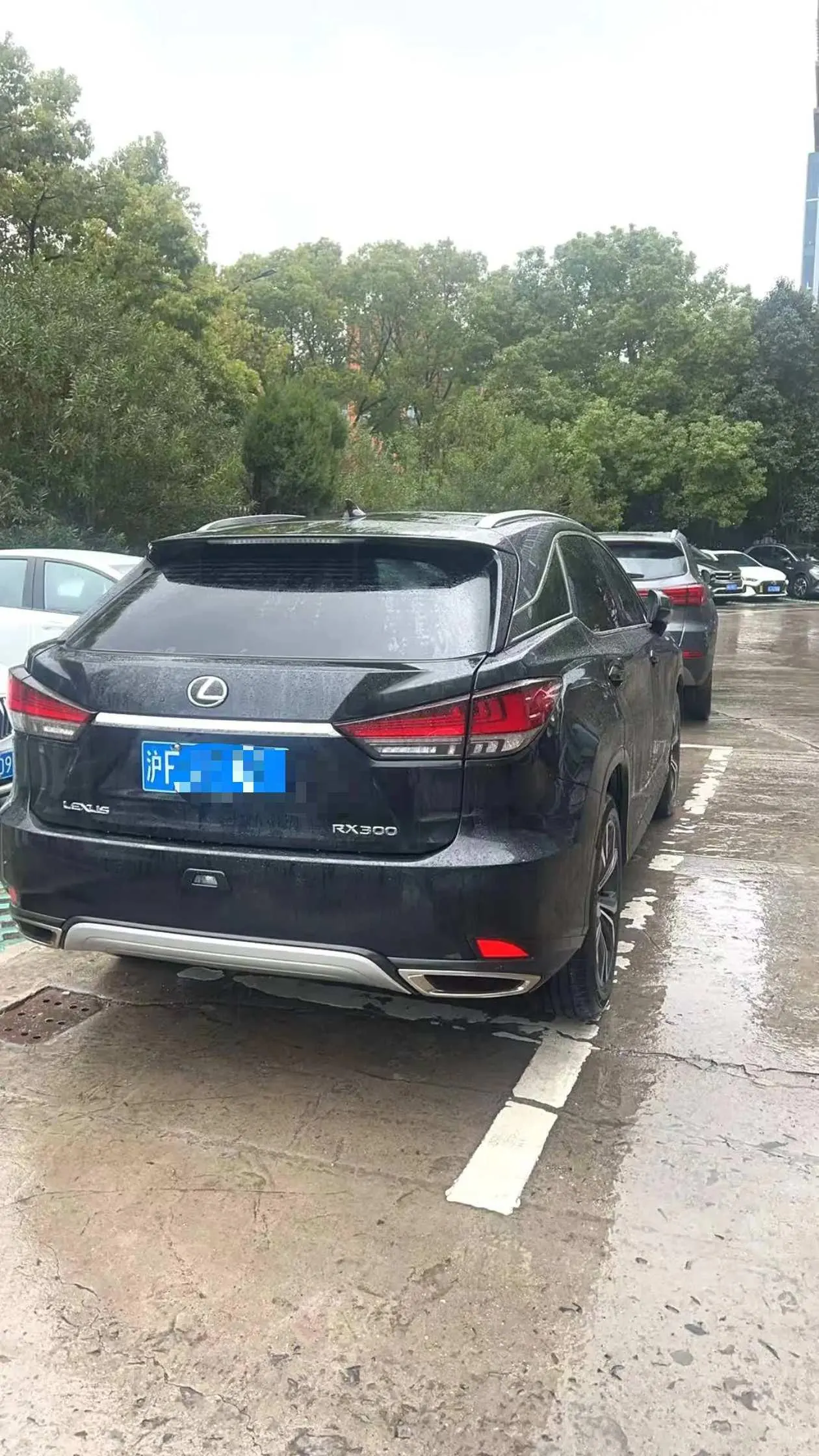 Lexus RX (Imported) 2020 RX300 2.0T Four-wheel Drive Elegant Edition (Modified) Automatic Gear 3