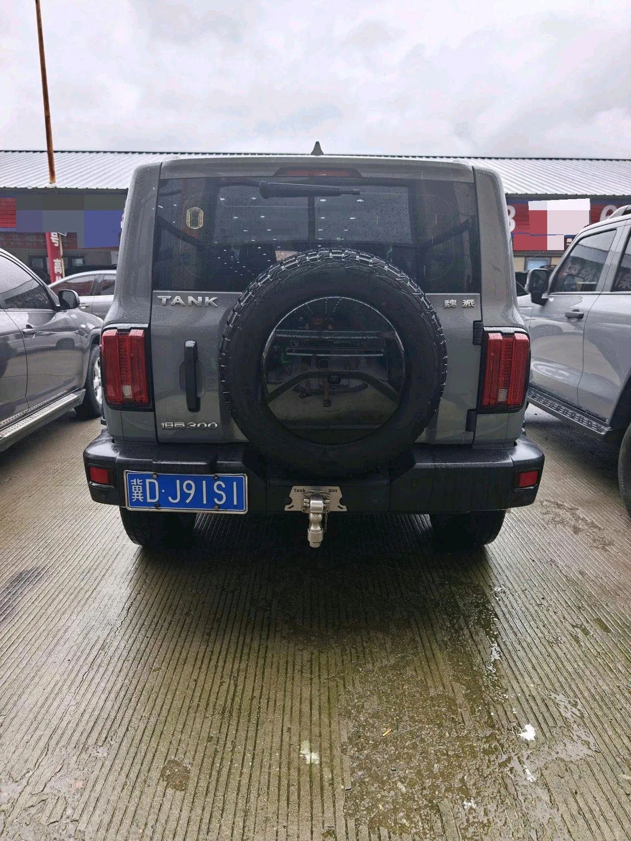 Tank 2023 Tank 300 2.0T Off-road Conqueror Automatic 10