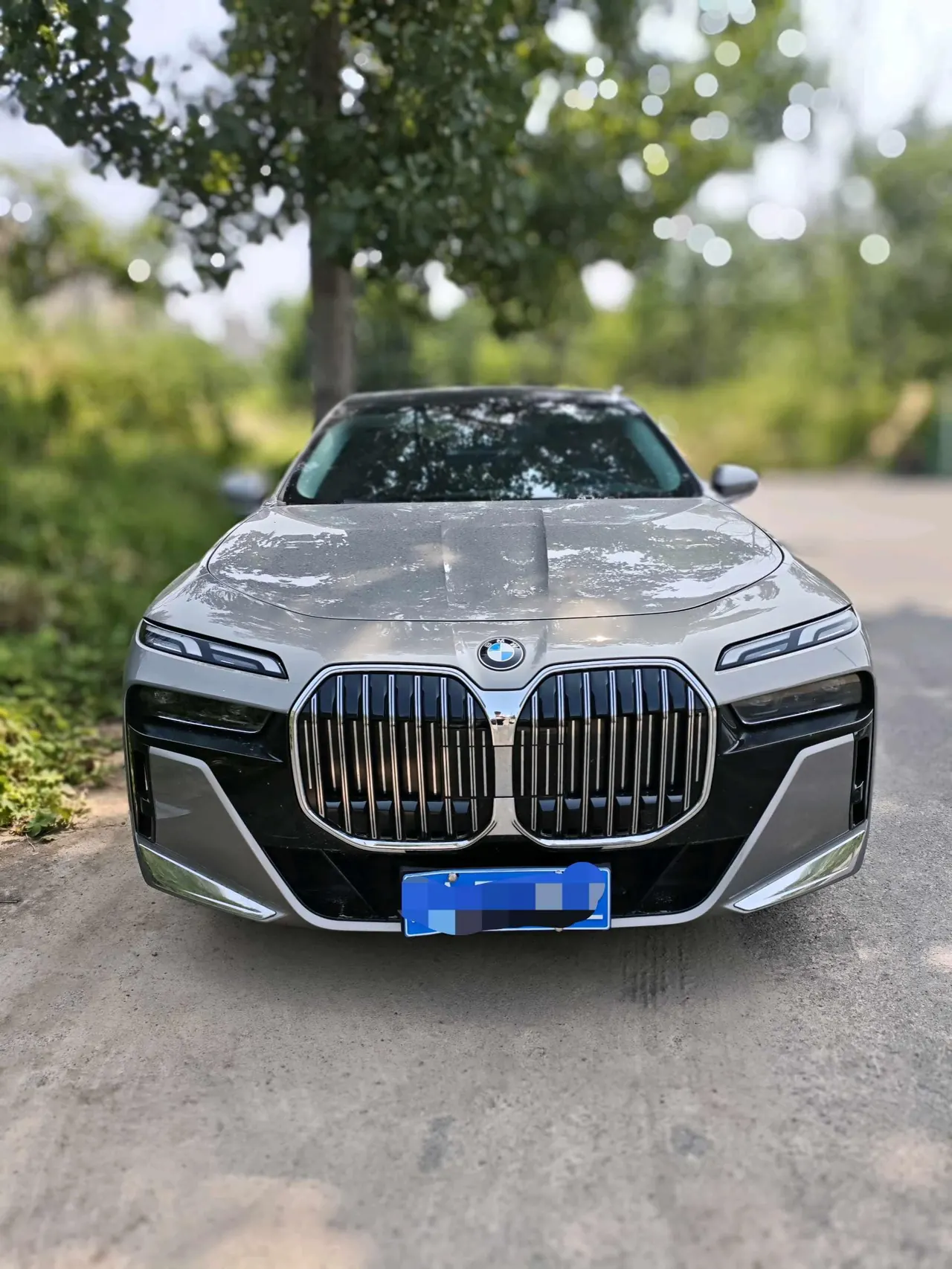 BMW 7 Series (Imported) 2023 735Li 48V 3.0T M Sports Suit Automatic Gear 2