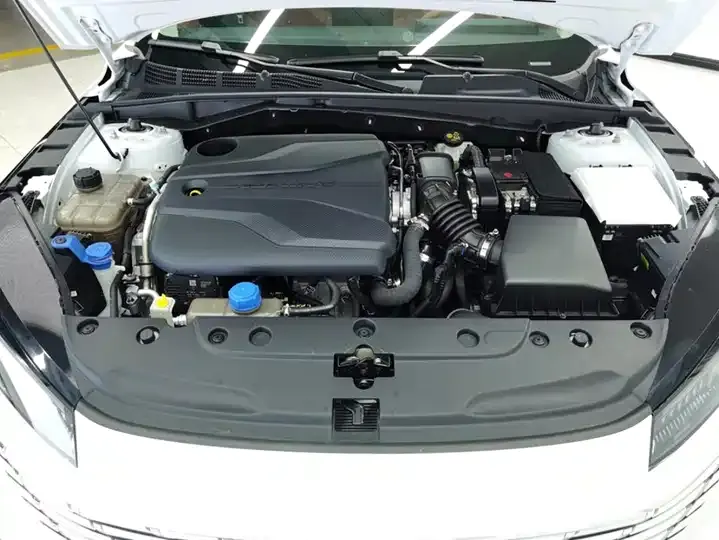 Yidong 2024 1.5T GDI Automatic Flagship 10