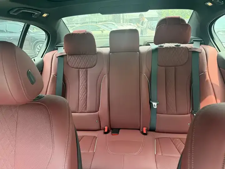 BMW 5 Series 2023 530Li Leading M Sports Suit 6