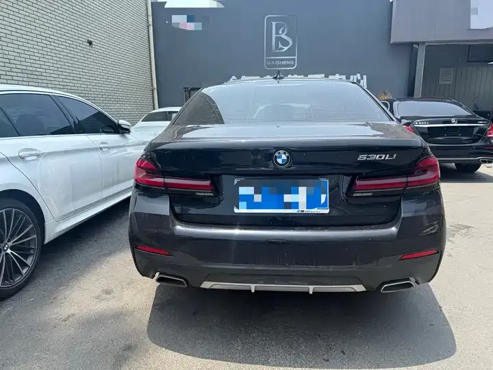 BMW 5 Series 2023 530Li Leading M Sports Suit 8