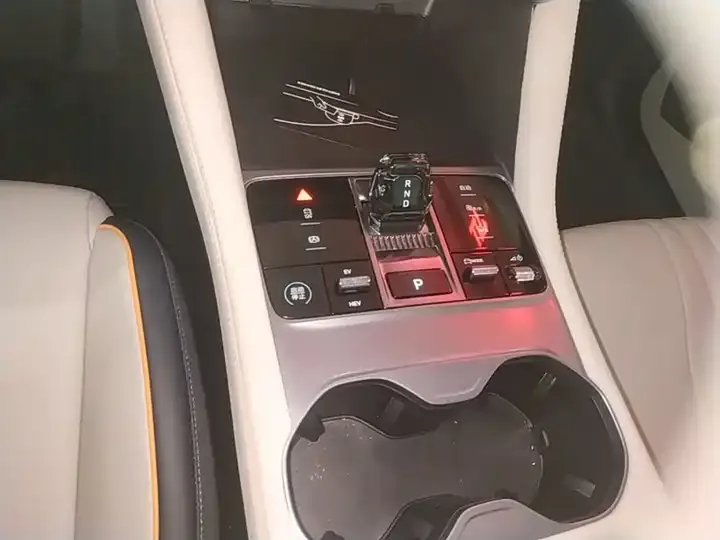 Song PLUS New Energy 2024 Glory Edition DM-i 71km Luxury Model 10