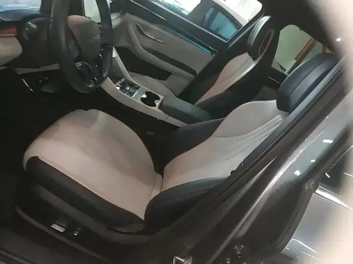 Song PLUS New Energy 2024 Glory Edition DM-i 71km Luxury Model 11
