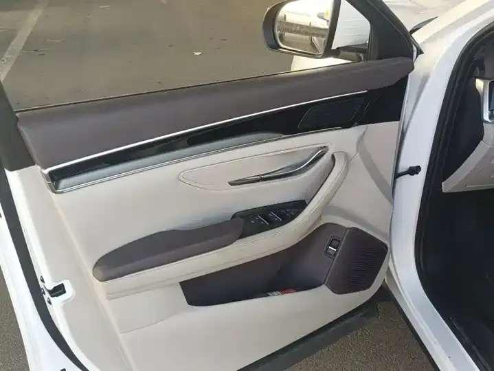 Song PLUS New Energy 2025 DM-i 75KM Luxury Model 7