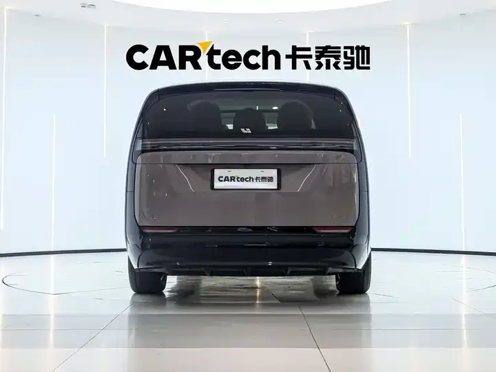 Li MEGA 2025 Home Home Special Edition 2