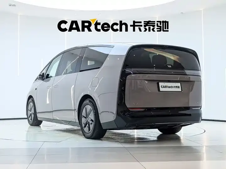 Li MEGA 2025 Home Home Special Edition 6