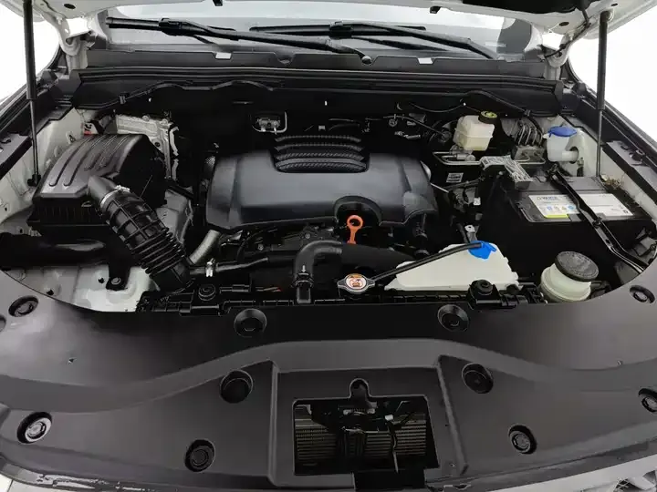 Gun 2021 2.0T Commercial Manual Gasoline Two-Drive Elite Long Box GW4C20B 6