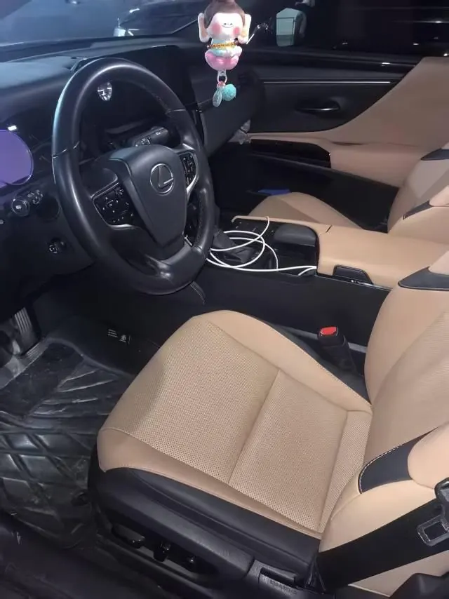 Lexus ES (Imported) 2022 ES200 2.0 Stepless Premium Edition Automatic Gear 5