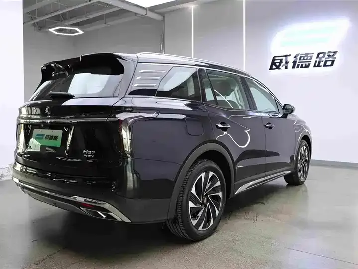 HongQi HS7 PHEV 2024 2.0T PHEV 4-wheel drive flag smooth version 7 seats 6