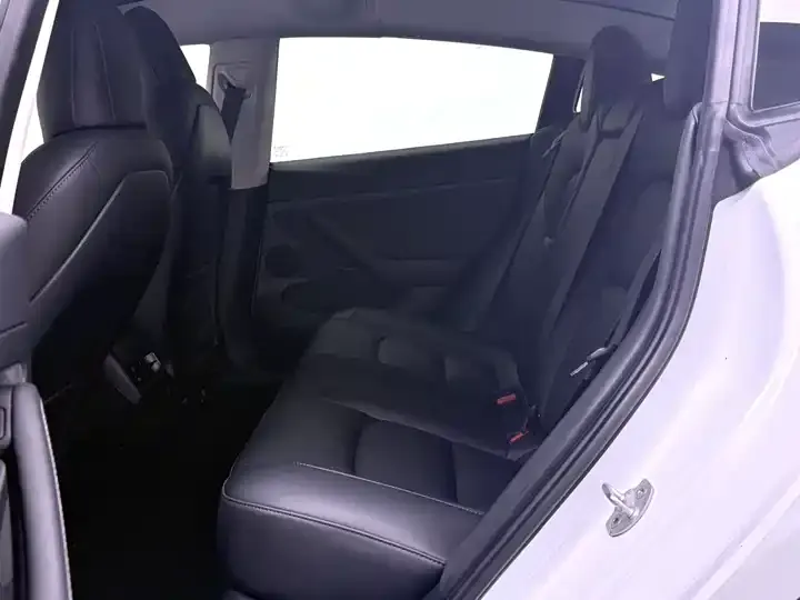 2022 Model 3 Rear-Wheel Drive Version 10