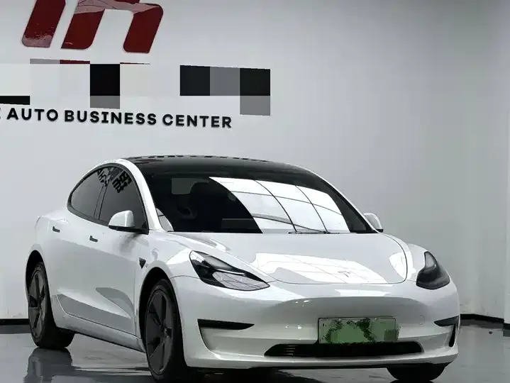 2022 Model 3 Rear-Wheel Drive Version 3