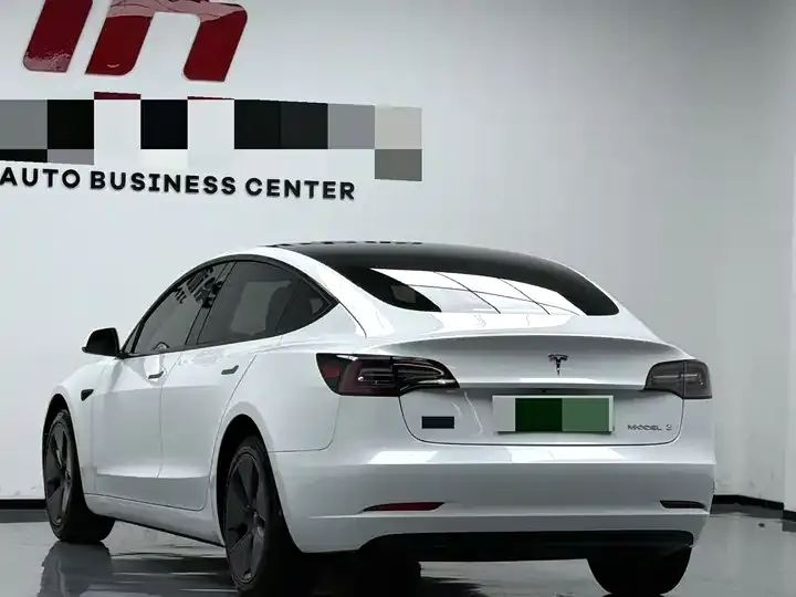 2022 Model 3 Rear-Wheel Drive Version 6
