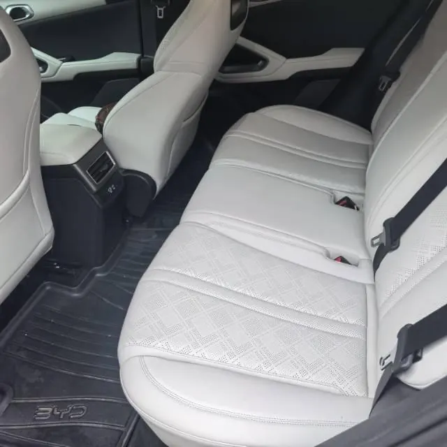 BYD 2025 Yuan UP 301KM Pilot Automatic Gear 4