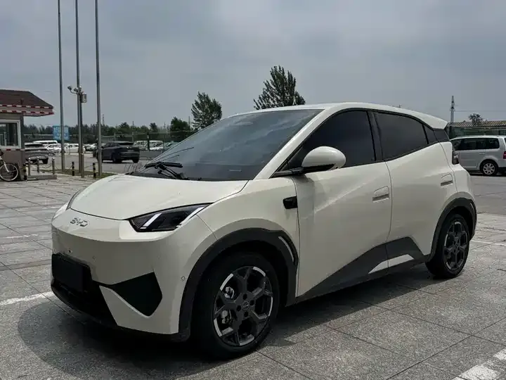 Seagull 2025 Intelligent Driving Version, 305 km, Freedom Edition - View 1