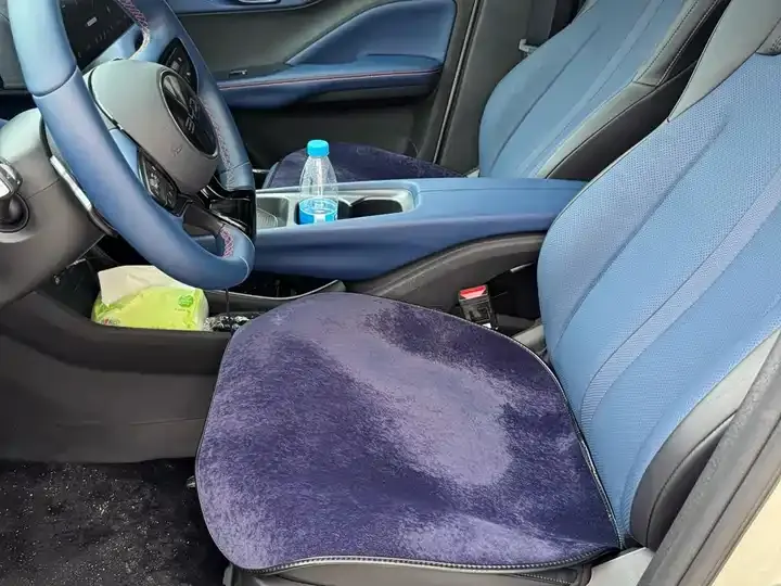 Seagull 2025 Intelligent Driving Version, 305 km, Freedom Edition 10