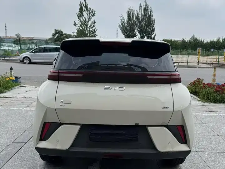 Seagull 2025 Intelligent Driving Version, 305 km, Freedom Edition 12