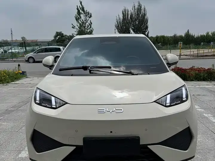 Seagull 2025 Intelligent Driving Version, 305 km, Freedom Edition 2