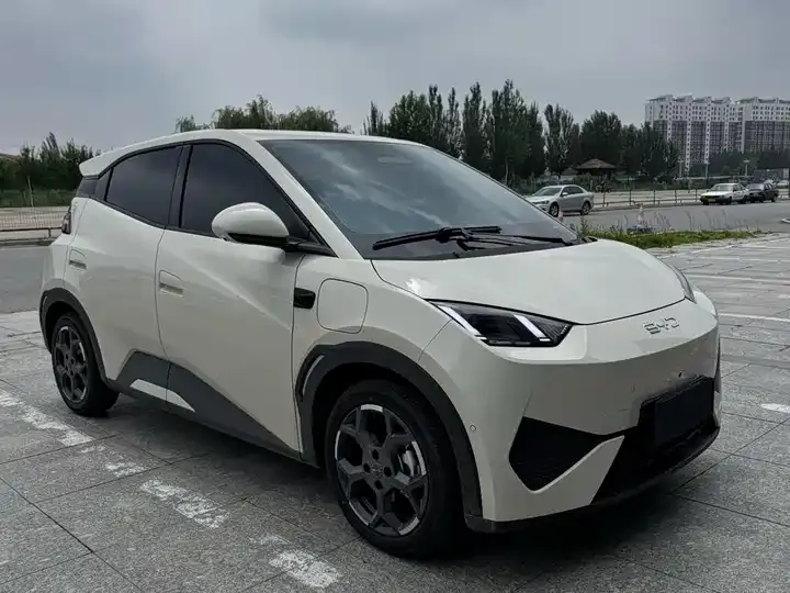 Seagull 2025 Intelligent Driving Version, 305 km, Freedom Edition 3