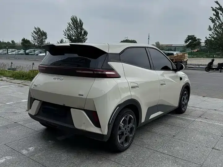 Seagull 2025 Intelligent Driving Version, 305 km, Freedom Edition 4