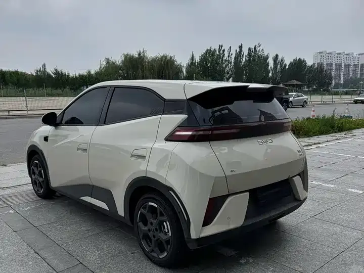 Seagull 2025 Intelligent Driving Version, 305 km, Freedom Edition 5