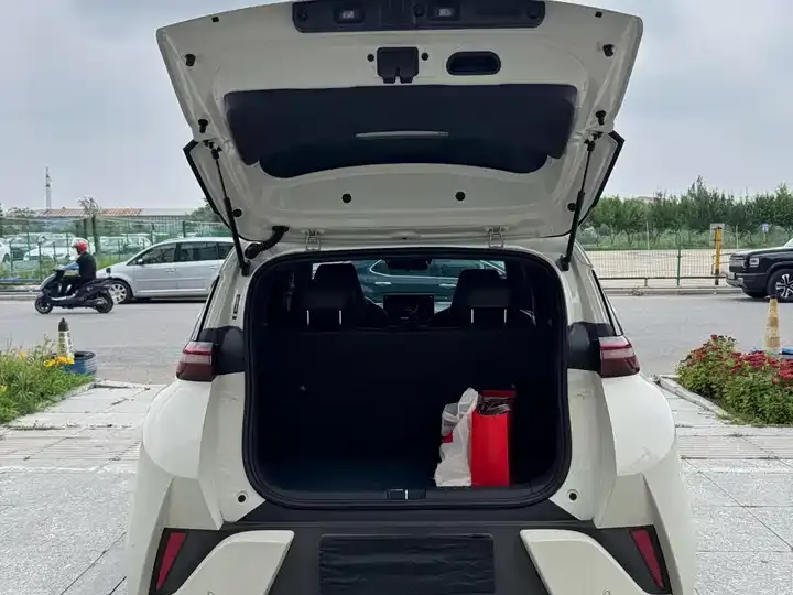 Seagull 2025 Intelligent Driving Version, 305 km, Freedom Edition 6