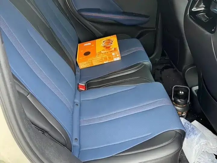 Seagull 2025 Intelligent Driving Version, 305 km, Freedom Edition 9