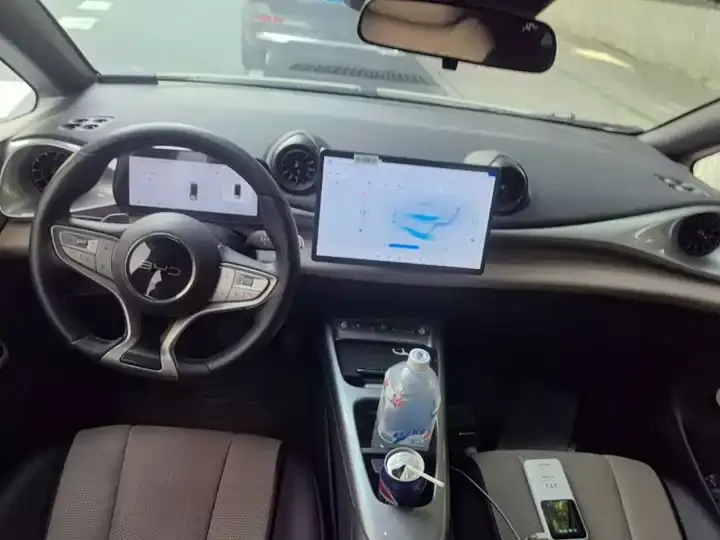 Dolphin 2025 Smart Driving Edition 420km Free Edition 10
