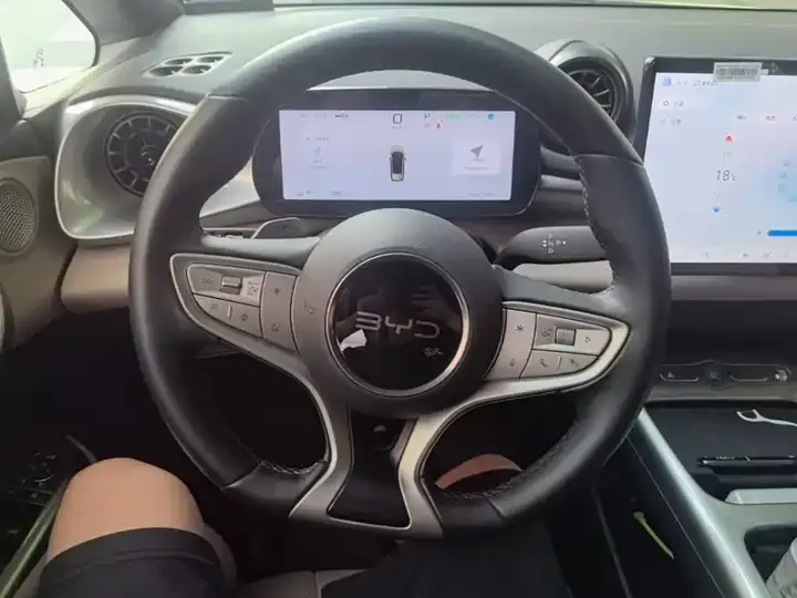 Dolphin 2025 Smart Driving Edition 420km Free Edition 11