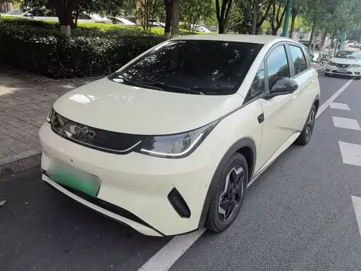 Dolphin 2025 Smart Driving Edition 420km Free Edition 2