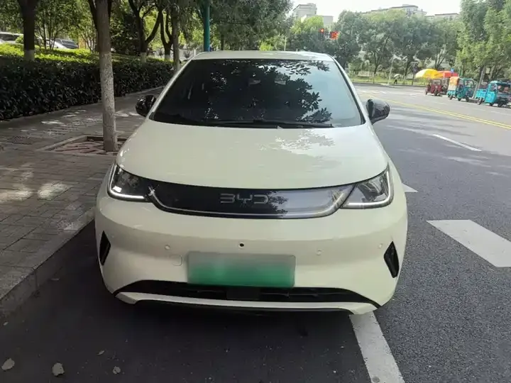 Dolphin 2025 Smart Driving Edition 420km Free Edition 3