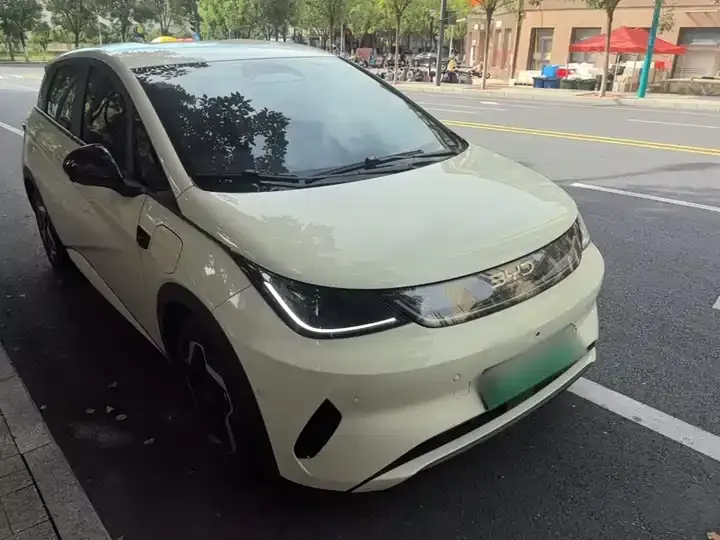 Dolphin 2025 Smart Driving Edition 420km Free Edition 4