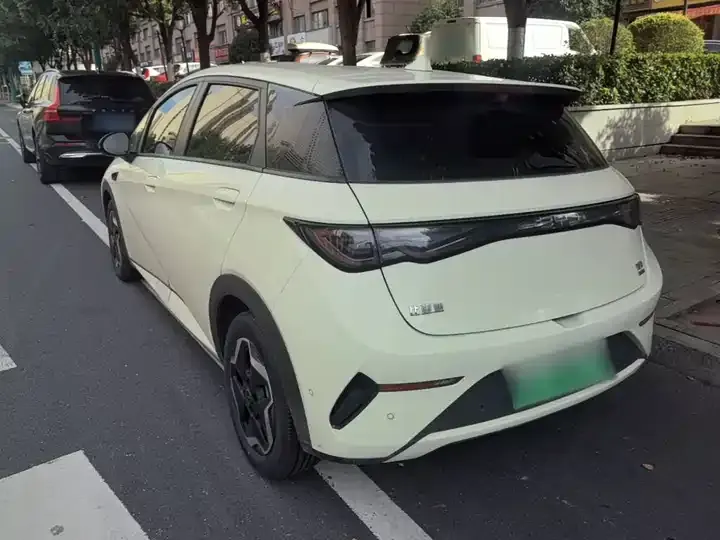 Dolphin 2025 Smart Driving Edition 420km Free Edition 5