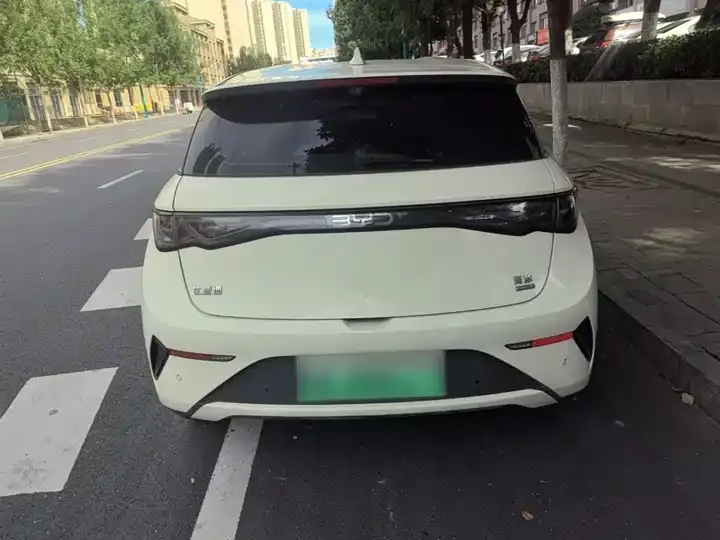 Dolphin 2025 Smart Driving Edition 420km Free Edition 6