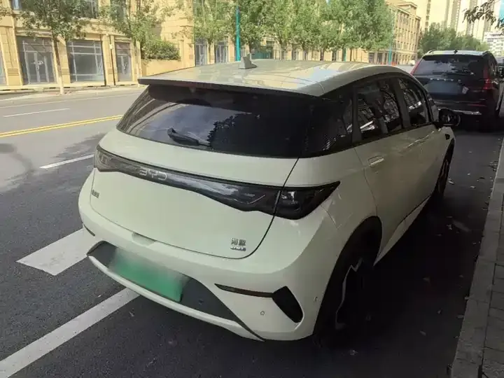 Dolphin 2025 Smart Driving Edition 420km Free Edition 7