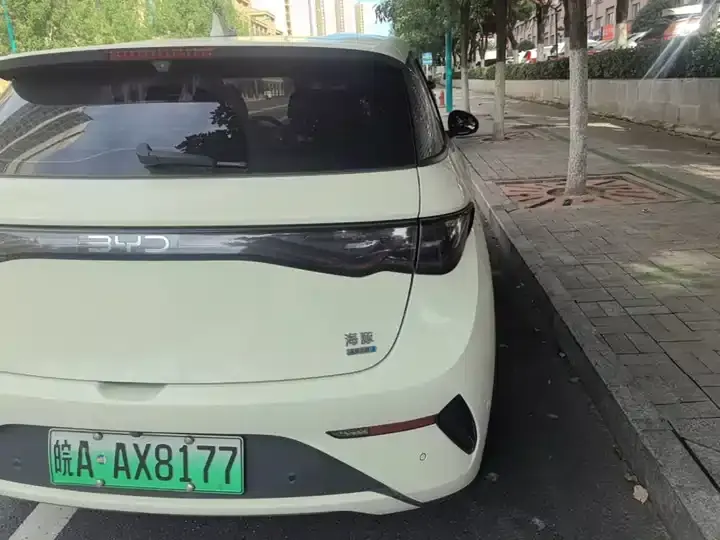 Dolphin 2025 Smart Driving Edition 420km Free Edition 8