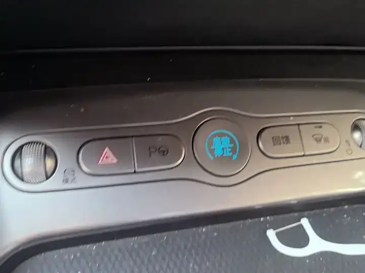 Dolphin 2025 Smart Driving Edition 420km Free Edition 9