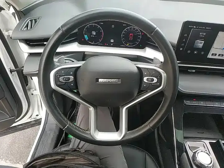 Haval H6 2021 third generation 2.0T automatic four-wheel drive Max 11