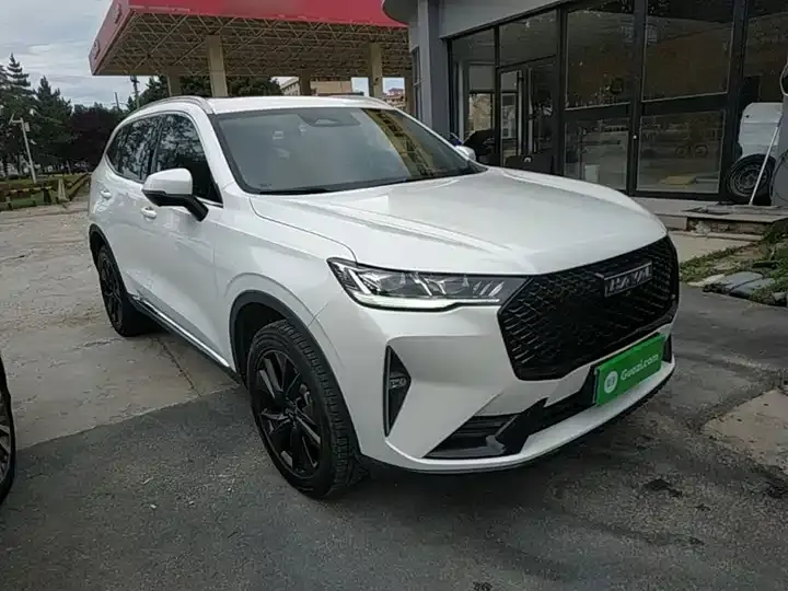 Haval H6 2021 third generation 2.0T automatic four-wheel drive Max 4