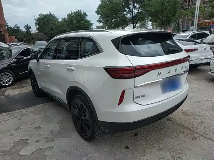 Haval H6 2021 third generation 2.0T automatic four-wheel drive Max 5