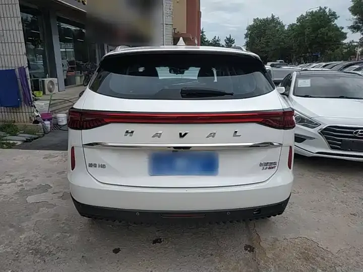 Haval H6 2021 third generation 2.0T automatic four-wheel drive Max 6