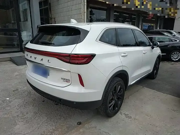 Haval H6 2021 third generation 2.0T automatic four-wheel drive Max 7
