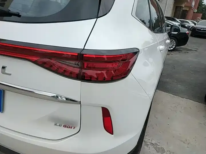 Haval H6 2021 third generation 2.0T automatic four-wheel drive Max 8